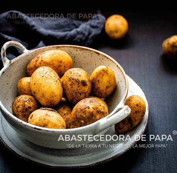 La papa blanca mexicana: Un ingrediente versátil para la cocina y el motor de un negocio próspero